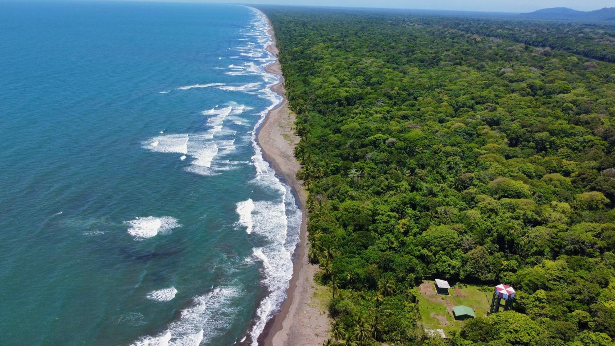 Carey Lodging Tortuguero Exterior foto