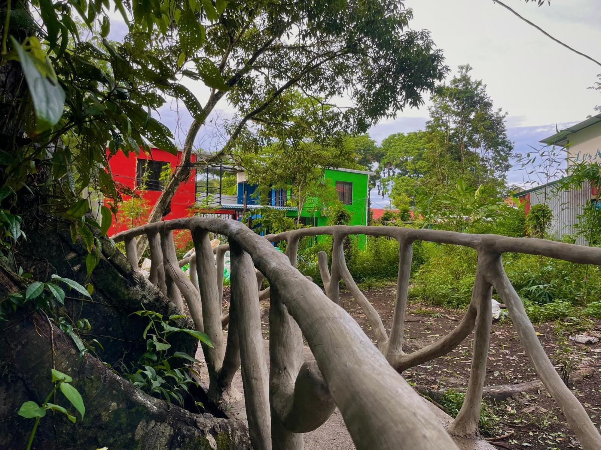 Carey Lodging Tortuguero Exterior foto